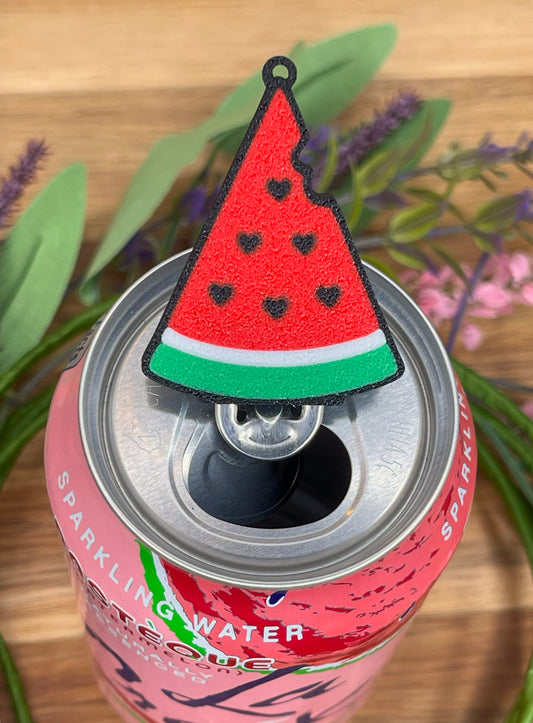 Pink sparkling water can with a watermelon-shaped Tab Buddy on a wooden surface with green leaves and flowers.