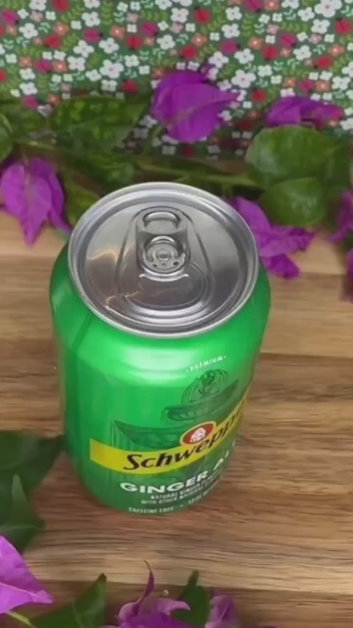 A curved rainbow design Tab Buddy opens a green can of Ginger Ale atop a wooden surface with pink flowers in the background.